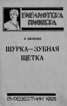 Полиен Яковлев Шурка — Зубная Щетка обложка книги