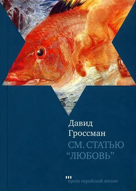 Давид Гроссман См. статью «Любовь» обложка книги