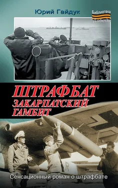 Юрий Гайдук Штрафбат. Закарпатский гамбит обложка книги