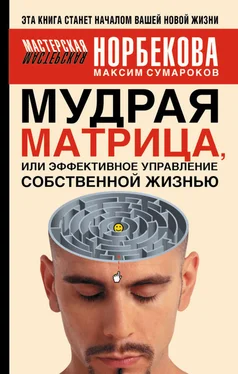 Максим Сумароков Мудрая матрица, или Эффективное управление собственной жизнью обложка книги