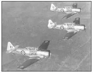 Harvards Murray Hofmeyr Hoffy could not understand why I was not having a - фото 35