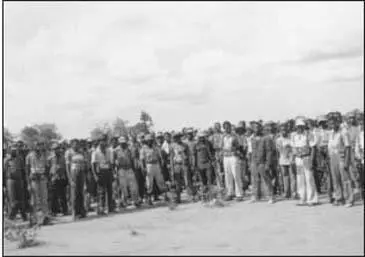 ZANLA mujibas Unlike General Barnard and me General Acland and Brigadier - фото 801