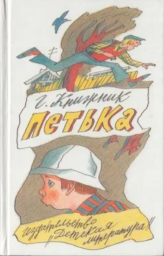 Генрих Книжник Петька обложка книги