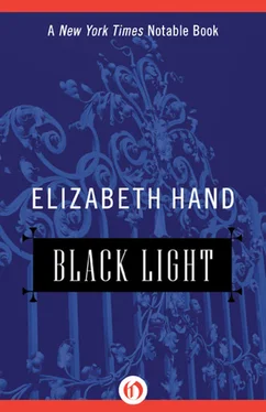 Elizabeth Hand Black Light