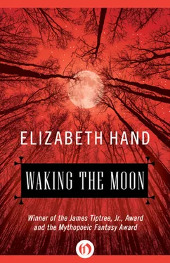 Elizabeth Hand Waking the Moon обложка книги