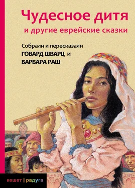 Барбара Раш Чудесное дитя и другие еврейские сказки обложка книги