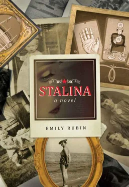 Emily Rubin Stalina обложка книги