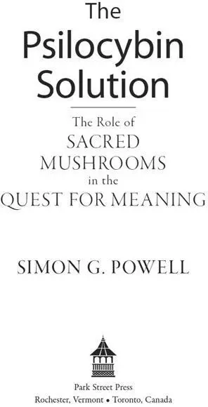 The Psilocybin Solution This book provides a clear and uptodate picture of - фото 2