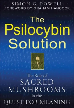 Simon Powell The Psilocybin Solution обложка книги