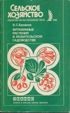 Ермаков Семенович Витаминные растения в любительском садоводстве обложка книги