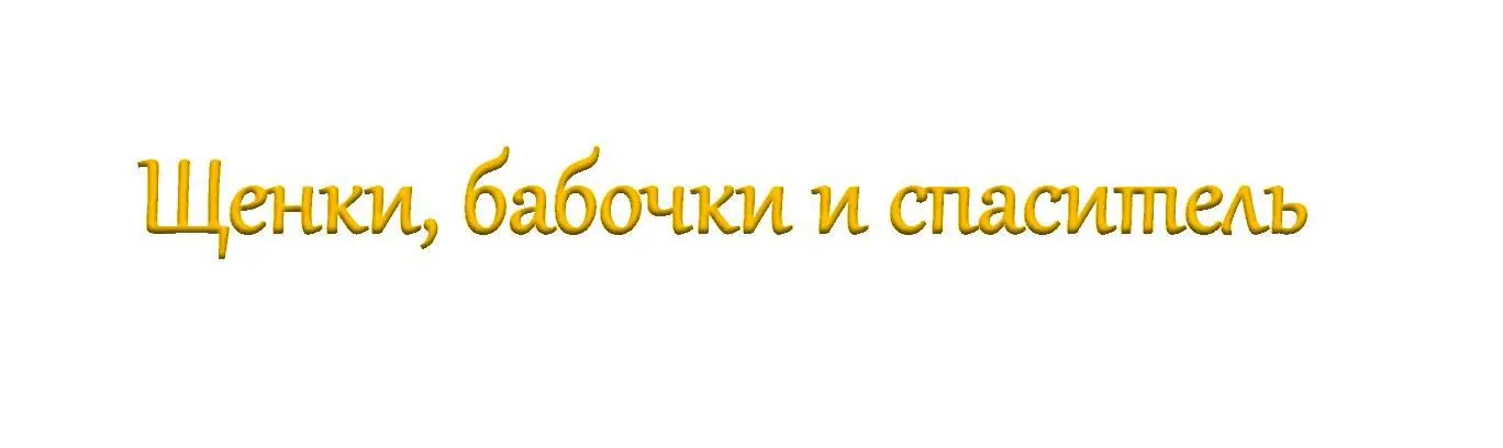 которые собирался проводить я едва почувствовал его легкое похлопывание по - фото 39