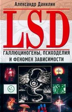 Александр Данилин LSD. Галлюциногены, психоделия и феномен зависимости обложка книги