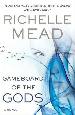 Richelle Mead Gameboard of the Gods обложка книги