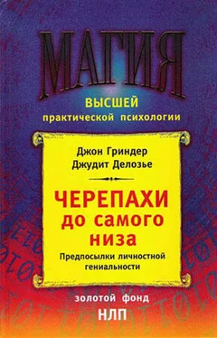 Джон Гриндер Черепахи до самого низа. Предпосылки личной гениальности обложка книги