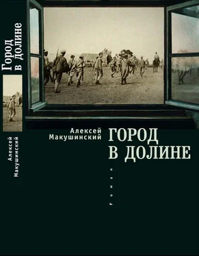 Алексей Макушинский Город в долине обложка книги