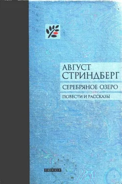 Август Стриндберг Серебряное озеро обложка книги