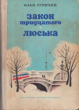 Илья Туричин Закон тридцатого. Люська обложка книги