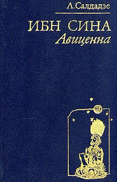 Людмила Салдадзе Ибн Сина Авиценна обложка книги