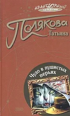 Татьяна Полякова Чудо в пушистых перьях обложка книги