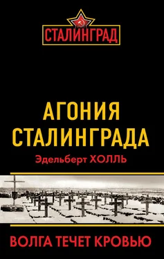 Эдельберт Холль Агония Сталинграда. Волга течет кровью обложка книги