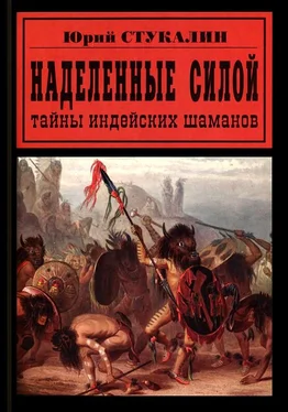 Юрий Стукалин Наделенные силой. Тайны индейских шаманов обложка книги