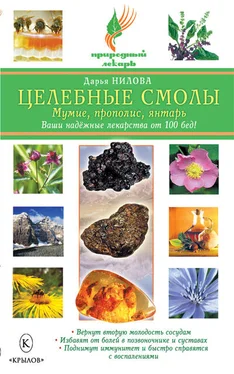 Дарья Нилова Целебные смолы: мумие, прополис, янтарь обложка книги