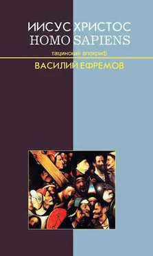 Василий Ефремов Иисус Христос — Homo sapiens. Тацинский апокриф обложка книги