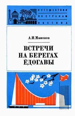 Анатолий Мамонов Встречи на берегах Ёдогавы обложка книги