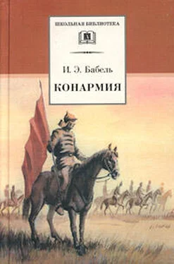 Исаак Бабель Конармия обложка книги