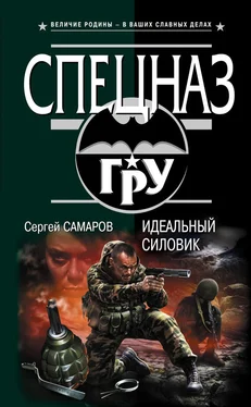 Сергей Самаров Идеальный силовик обложка книги