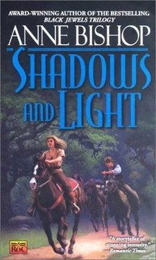 Anne Bishop Shadows and Light обложка книги