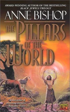 Anne Bishop The Pillars of the World обложка книги