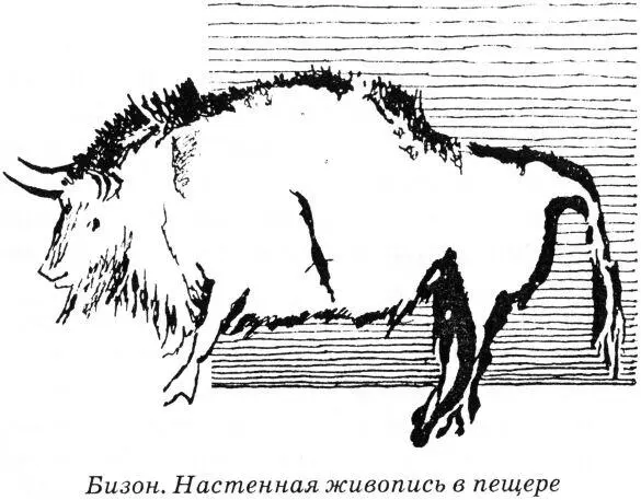 Резко изменился животный и растительный мир Теплолюбивые растения и животные - фото 3