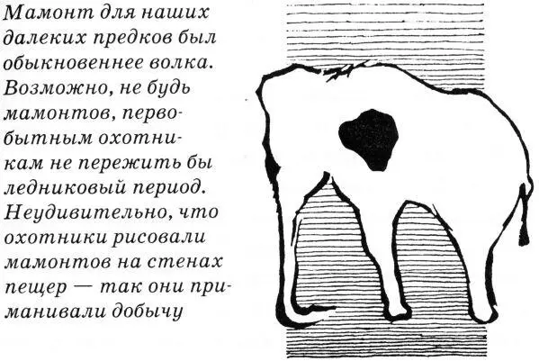 Больше того совсем недавно была послана экспедиция на очень большой полярный - фото 4