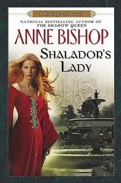 Anne Bishop Shalador's Lady обложка книги