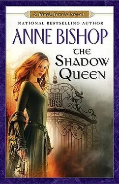 Anne Bishop The Shadow Queen обложка книги