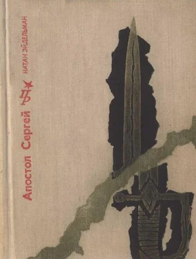 Натан Эйдельман Апостол Сергей: Повесть о Сергее Муравьеве-Апостоле обложка книги