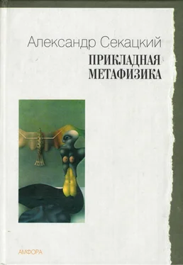 Александр Секацкий Прикладная метафизика обложка книги