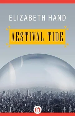 Elizabeth Hand Æstival Tide обложка книги