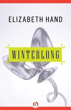 Elizabeth Hand Winterlong обложка книги