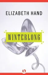 Elizabeth Hand - Winterlong