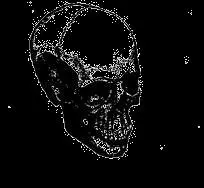 1 Catastrophes of different kinds L AZARS WOKE ME FROM a black and dreamless - фото 7