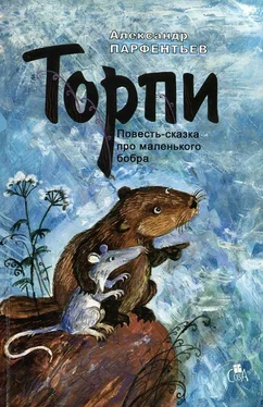 Александр Парфентьев Торпи обложка книги