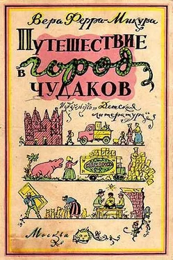 Вера Ферра-Микура Путешествие в город чудаков обложка книги