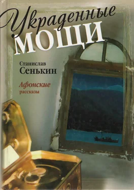 Станислав Сенькин Украденные мощи. Афонскиерассказы обложка книги