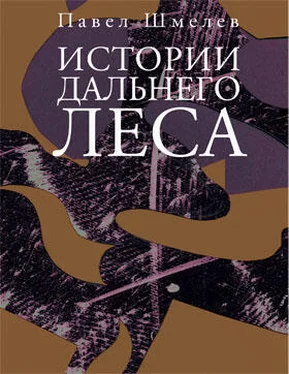 Павел Шмелев Истории Дальнего Леса обложка книги