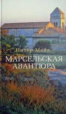 Питер Мейл Марсельская авантюра обложка книги