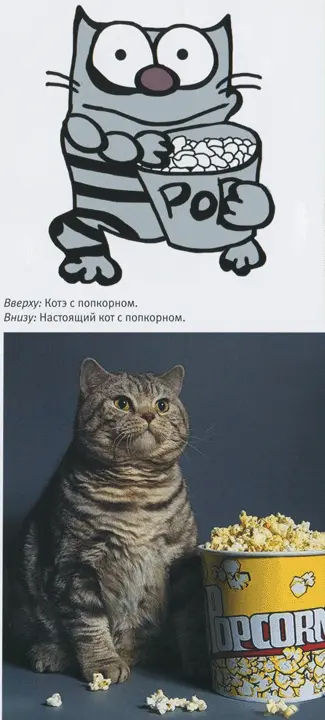 Самоучитель олбанского - фото 19