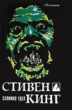 Стивен Кинг Салимов удел обложка книги