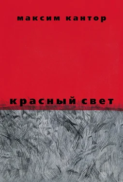 Максим Кантор Красный свет обложка книги